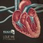 Love Me Albumcover