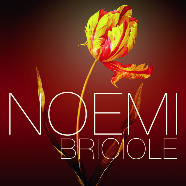 Briciole cover