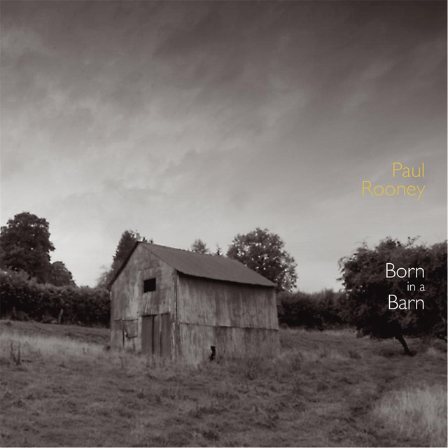 Paul Rooney Photo