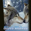 Blues Wolves cover