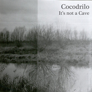 Cocodrilo Photo
