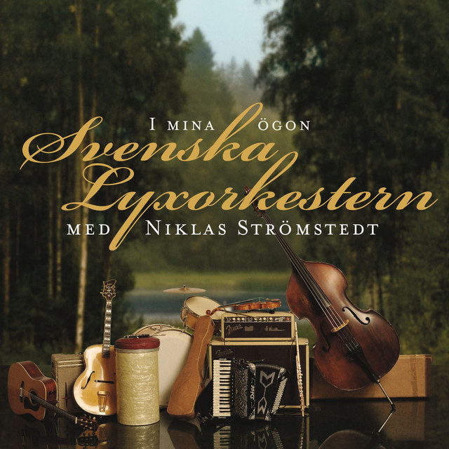 Svenska Lyxorkestern Photo