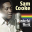 Wonderful World cover