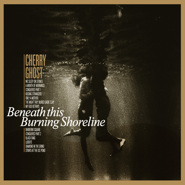 Beneath This Burning Shoreline cover
