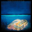 The Edgar Winter Group with Rick Derringer cover