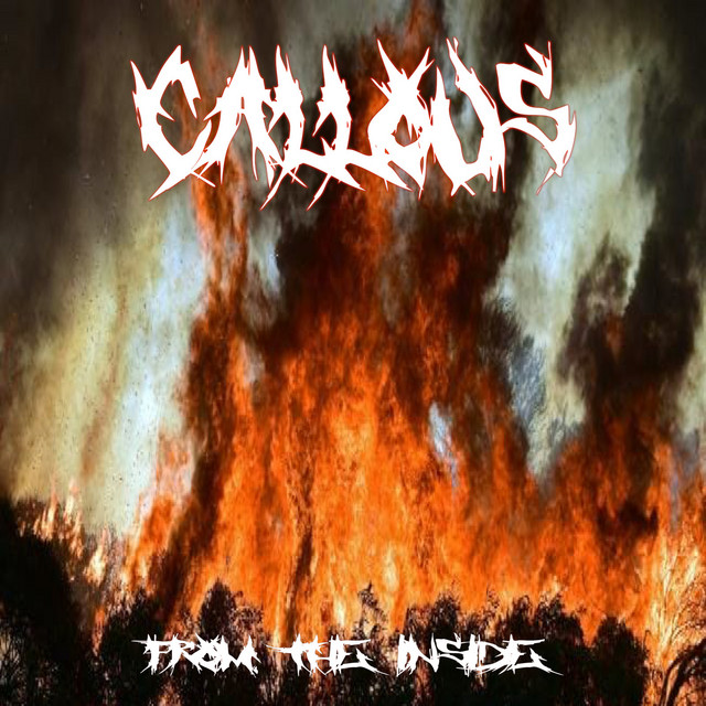 Callous Photo