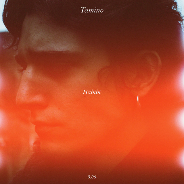 Habibi cover