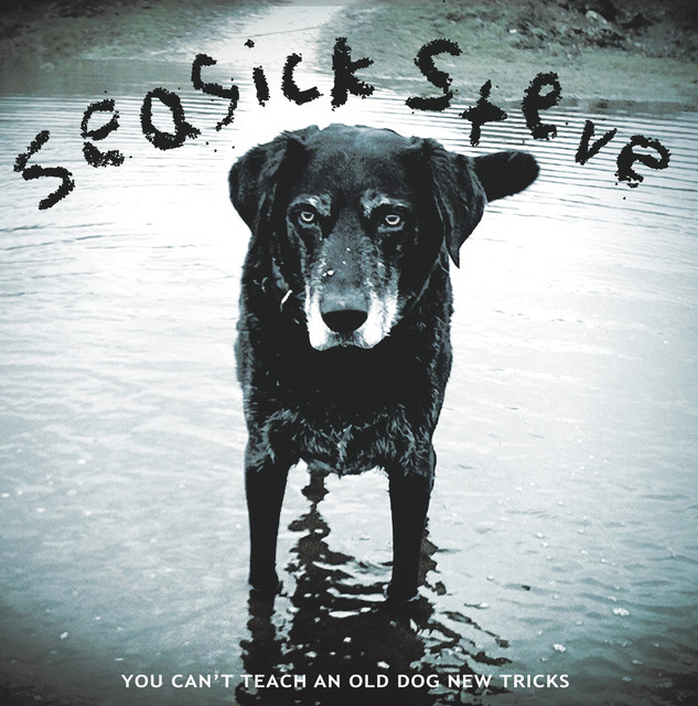 You Can't Teach An Old Dog New Tricks (standard) cover