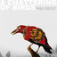 A Chattering of Birds Albumcover