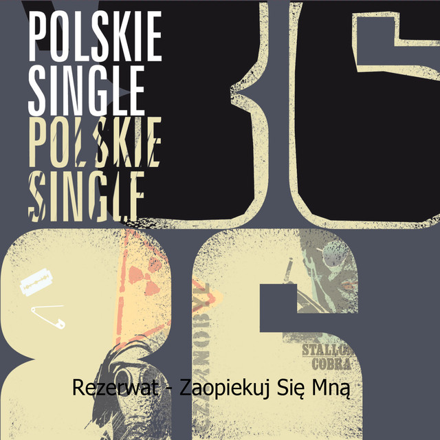 Zaopiekuj Się Mną cover