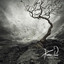 Mystic Spirit Albumcover