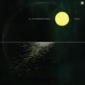 All the Shimmering Things album