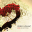 Love Like No Other cover