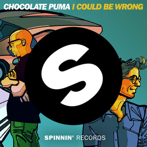 I could be wrong - Chocolate Puma