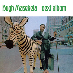 Next Album album