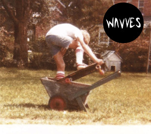 Wavves album