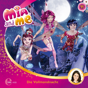 Folge 11: Die Vollmondnacht (Das Original-Hörspiel zur TV-Serie)