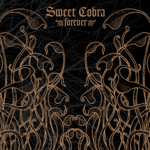 Forever cover