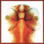 Damage cover