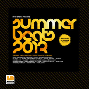 Summer Beats 2013 album