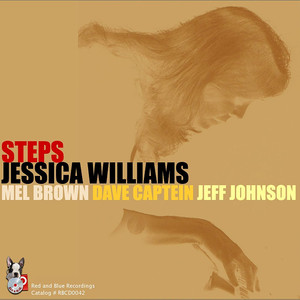 Steps cover