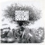 Jerome Harris: Hidden in Plain View Albumcover