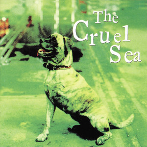 Three Legged Dog cover