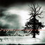 The Winter of Our Discontent cover