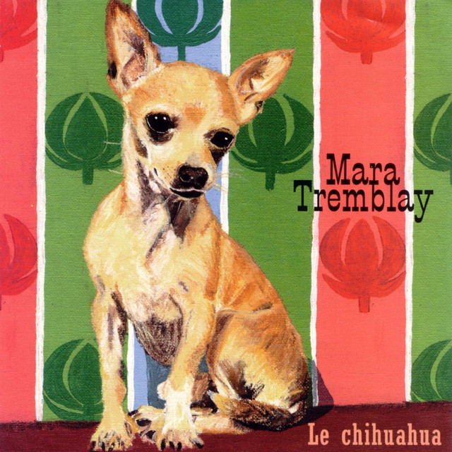 Le Chihuahua cover