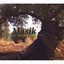 Masik Albumcover