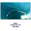 Young for You Albumcover