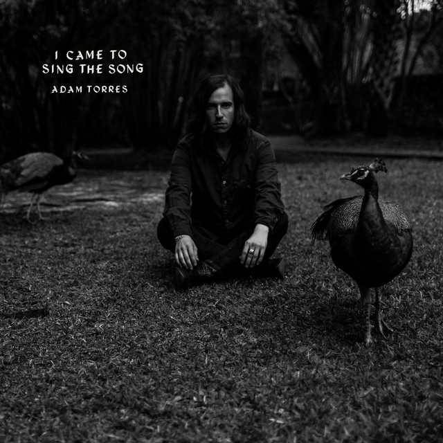 I Came To Sing The Song cover