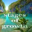 Stages Of Growth Albumcover