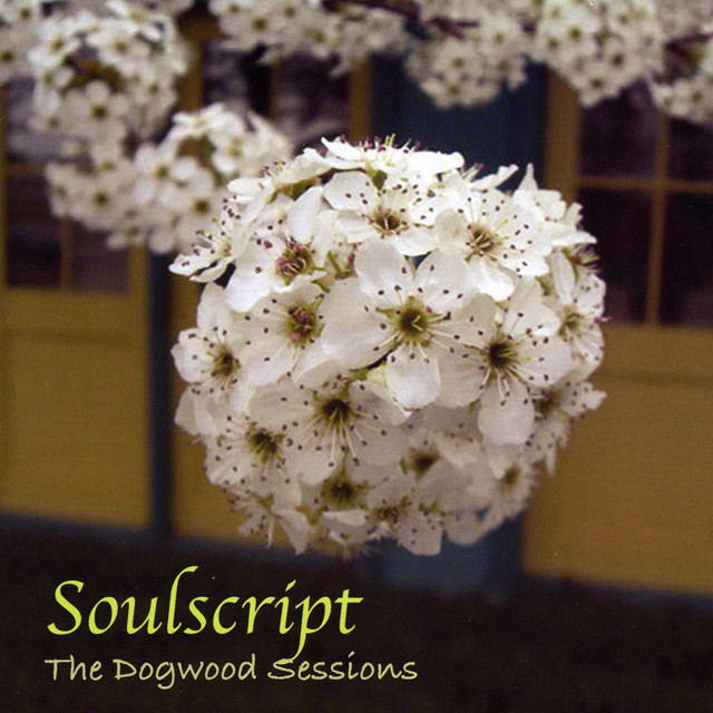Soulscript Photo