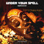 Stephen Emmer - Under your spell (ft. Chaka Khan) (Auro Mix) - Nu Disco