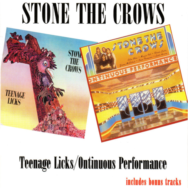 Teenage Licks / Ontinuous Performance cover