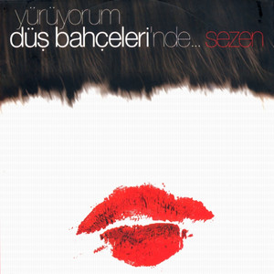 Yürüyorum Düş Bahçelerinde, Vol. 1 album