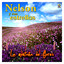 La Montaña De Flores Albumcover
