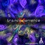 Trancexperience Albumcover