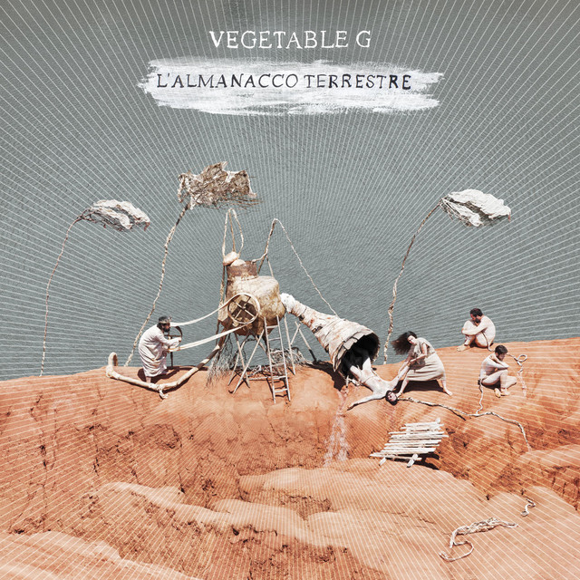 Vegetable G Photo