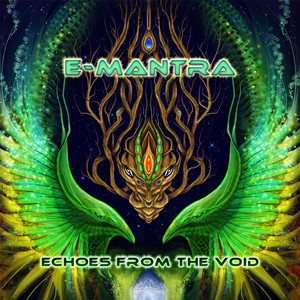 Echoes From the Void cover