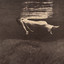Undercurrent cover