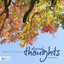 Diurnal Thoughts Albumcover