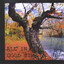 All In Good Time Albumcover