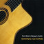 Swing Gitane Albumcover