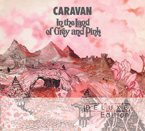 In The Land Of Grey & Pink 40th Anniversary album