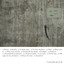17 Animales Albumcover