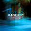 ROSEAUX Ft. BEN L'ONCLE SOUL - I am going home