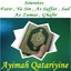 Sourates Fatir , Ya Sin , As Saffat , Sad , Az Zumar , Ghafir (Quran) Albumcover