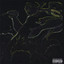 Phungi Muzack Albumcover